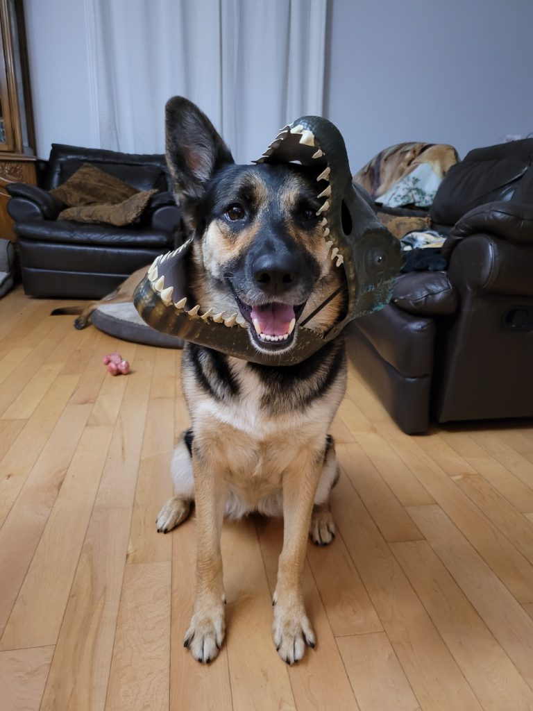 Père Noël Au Crochet Pour Soutien émotionnel, Graines De Pomme De Terre