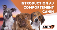 Formation complète à 3 volets – 144h