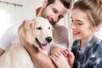 Comment choisir le type d’éducation pour son chien – 3 février à 17h