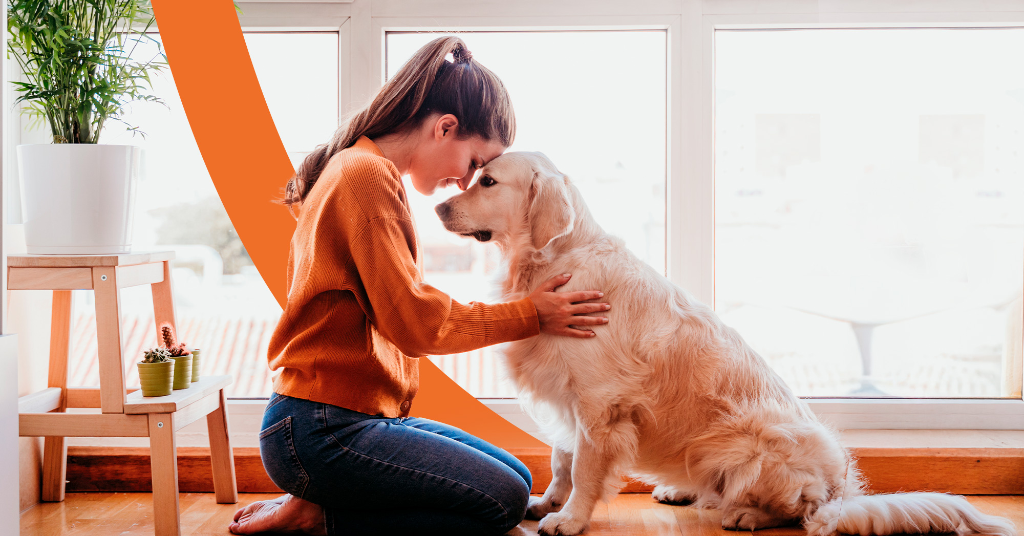 Comportement pour chien dressage et éducateur canin québec