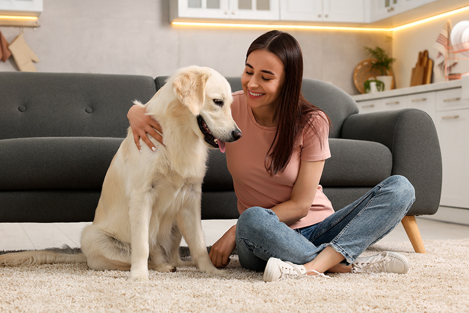 Le dressage, en quoi consiste l'éducation canine