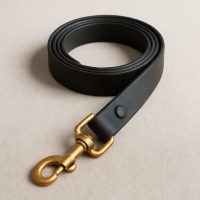 Da+ – Laisse 1 pouce large
