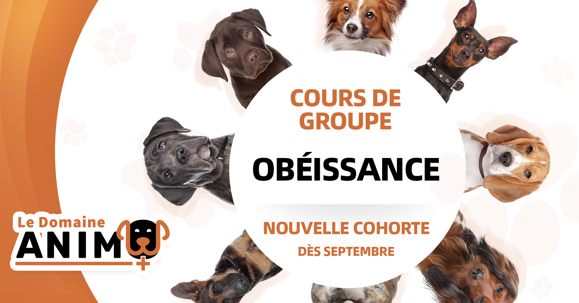 DomaineAnimo+ obéissance 14-07