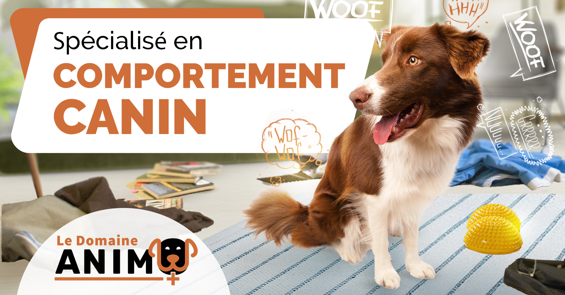DomaineAnimo-comportement-canin
