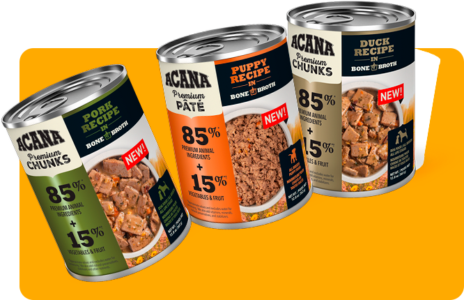 Nourritue humide Acana