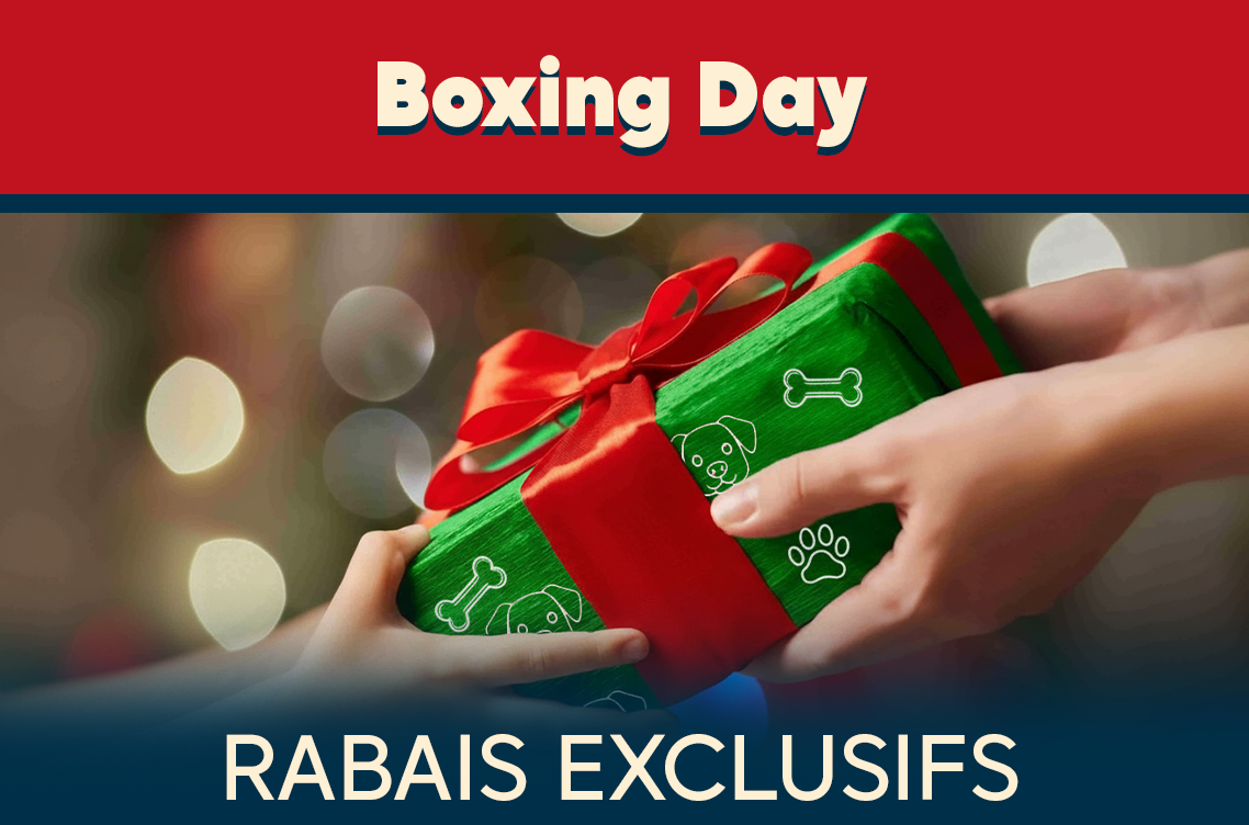 Rabais Boxing day