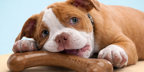 Achetez 4 gâteries à l’unité et recevez la 5e gratuitement. Achetez 4 gâteries à l’unité et recevez la 5e gratuitement.