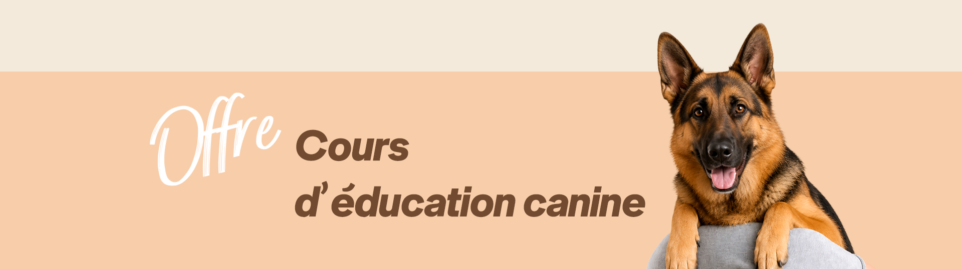 Cours d'éducation canine